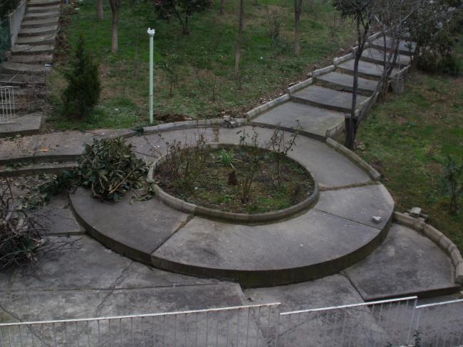 Name:  P1010087a.jpg
Views: 1091
Size:  53.4 KB