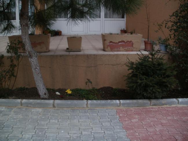 Name:  P2170094a.jpg
Views: 947
Size:  41.9 KB