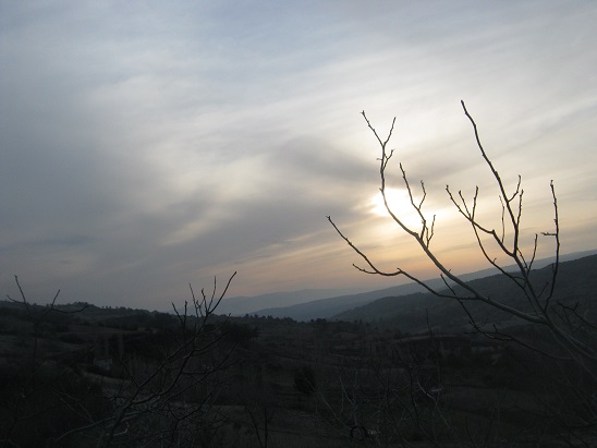 Name:  mart gnbatm.jpg
Views: 808
Size:  58.6 KB