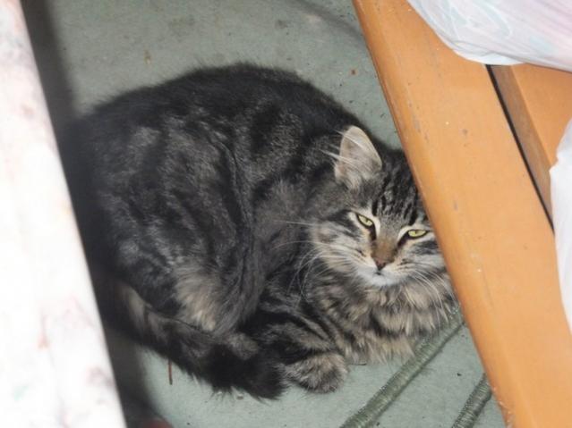Name:  DSCF0386.jpg
Views: 304
Size:  33.8 KB