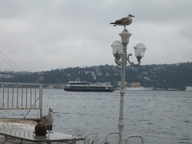Name:  DSCF0398.jpg
Views: 330
Size:  64.9 KB