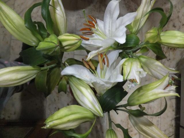Name:  DSCF0519.jpg
Views: 313
Size:  41.4 KB