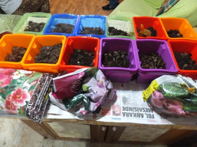 Name:  DSCF0537.jpg
Views: 307
Size:  54.2 KB