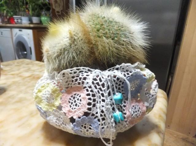 Name:  DSCF0559.jpg
Views: 286
Size:  47.4 KB