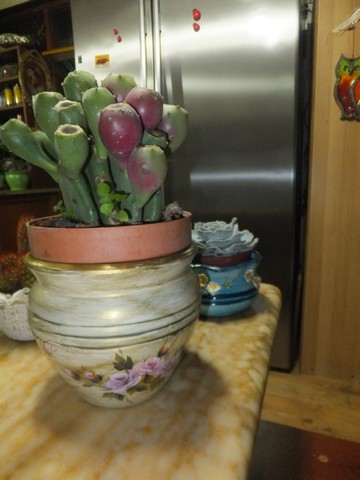Name:  DSCF0570.jpg
Views: 468
Size:  50.4 KB