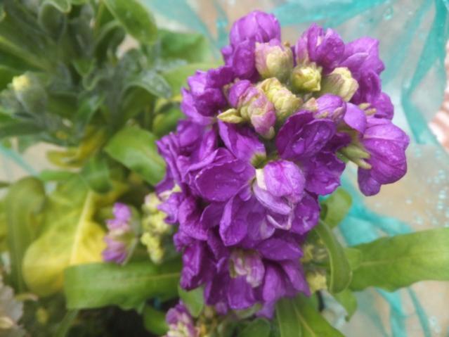 Name:  DSCF0764.jpg
Views: 440
Size:  37.9 KB