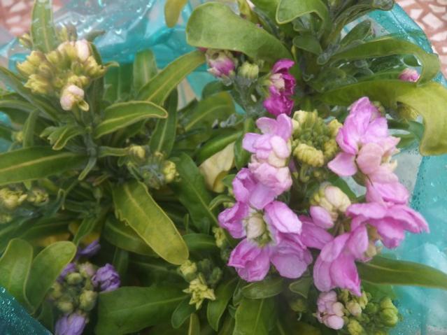 Name:  DSCF0769.jpg
Views: 693
Size:  46.9 KB