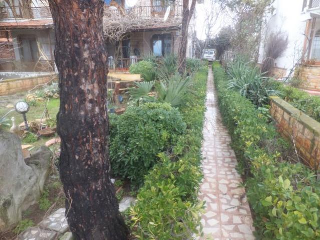Name:  DSCF0792.jpg
Views: 470
Size:  61.6 KB