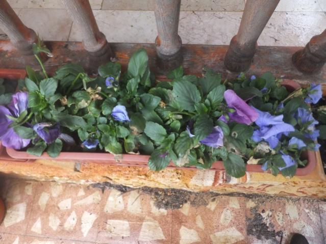 Name:  DSCF0807.jpg
Views: 459
Size:  53.4 KB