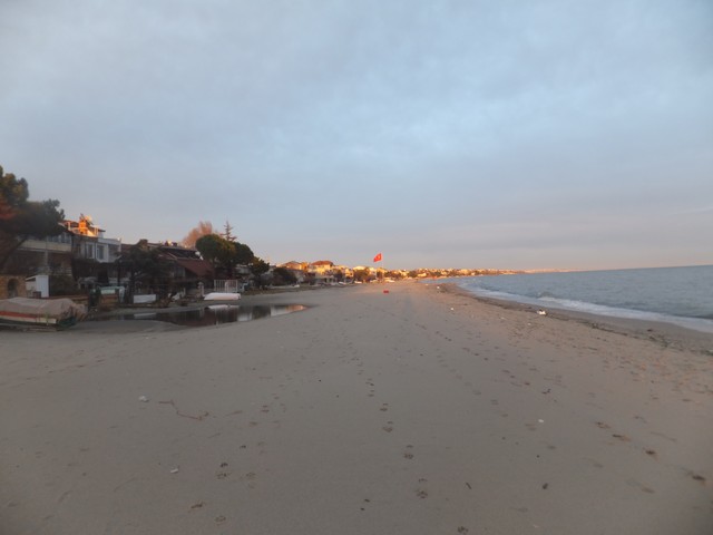 Name:  DSCF0837.jpg
Views: 431
Size:  43.9 KB
