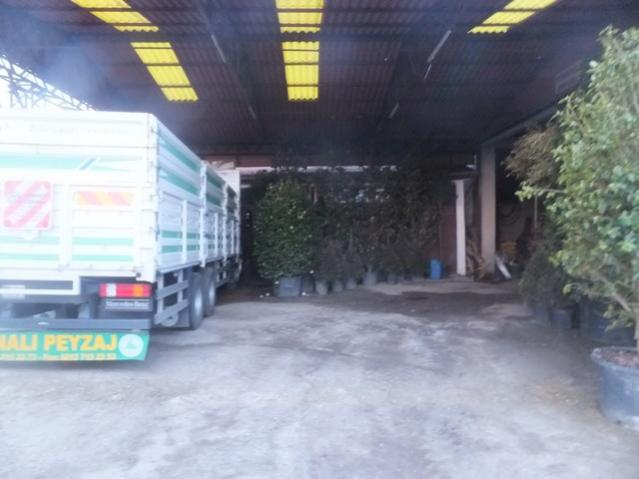 Name:  DSCF0890.jpg
Views: 456
Size:  36.5 KB