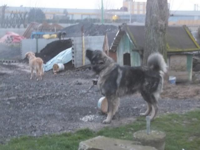 Name:  DSCF0894.jpg
Views: 451
Size:  35.3 KB