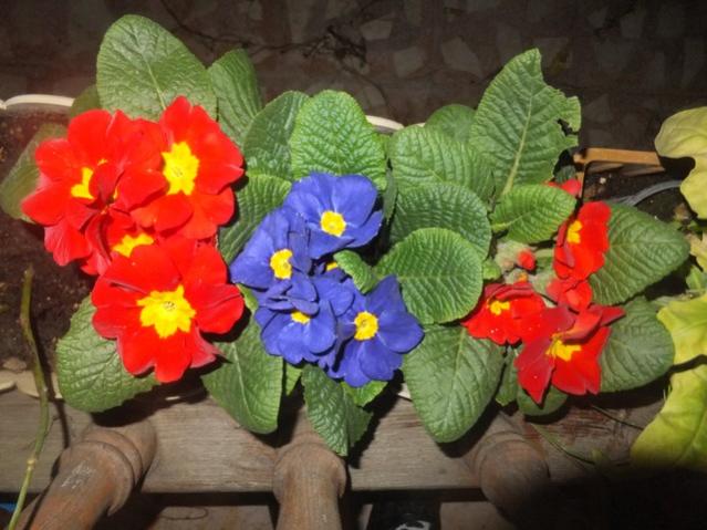 Name:  DSCF0909.jpg
Views: 456
Size:  49.6 KB