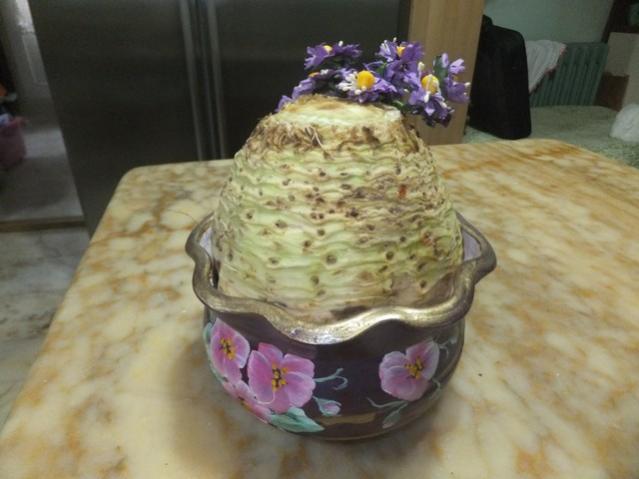 Name:  DSCF0917.jpg
Views: 553
Size:  36.0 KB