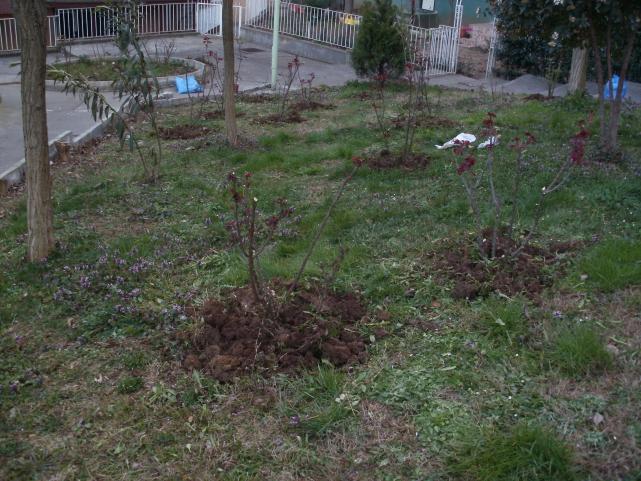Name:  P3060034a.jpg
Views: 561
Size:  70.4 KB