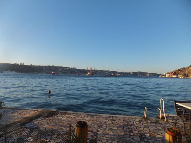 Name:  DSCF1493.jpg
Views: 252
Size:  34.5 KB