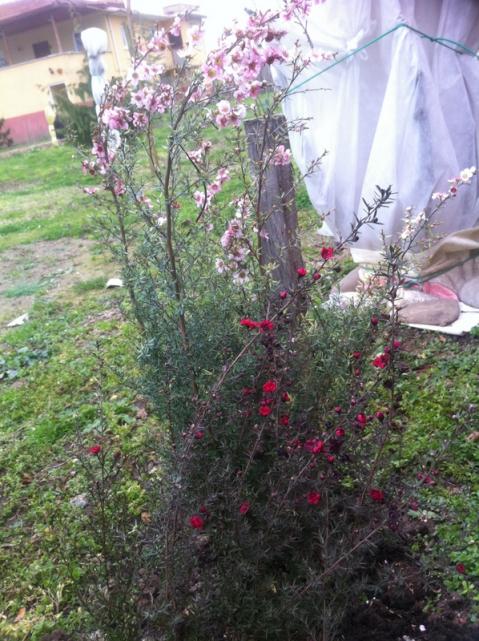 Name:  0005-1709.jpg
Views: 630
Size:  71.2 KB