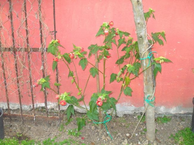 Name:  0012-001.jpg
Views: 692
Size:  55.5 KB