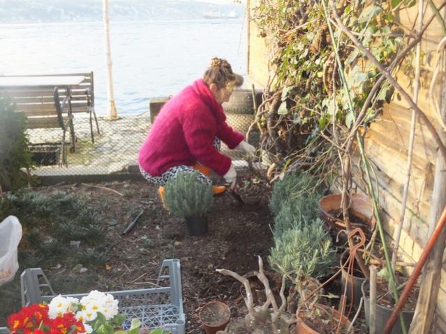 Name:  DSCF1510.jpg
Views: 420
Size:  63.7 KB