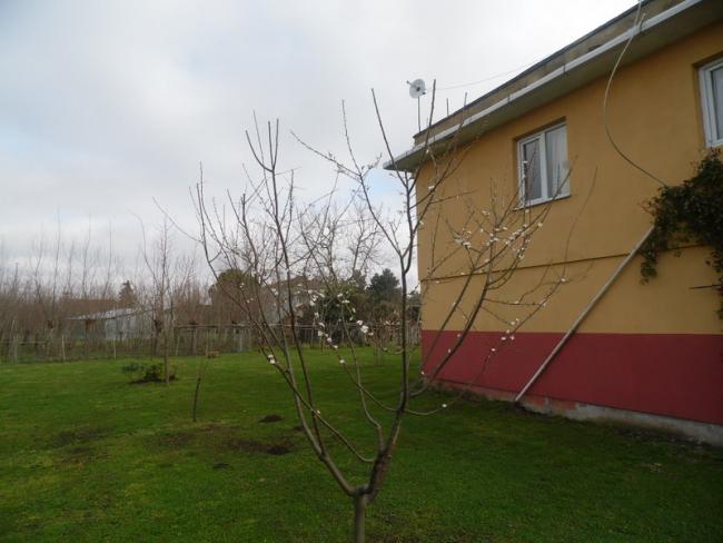 Name:  0317-329.jpg
Views: 586
Size:  39.3 KB