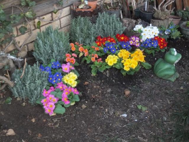 Name:  DSCF1517.jpg
Views: 427
Size:  61.9 KB