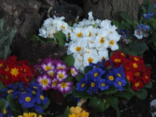 Name:  DSCF1519.jpg
Views: 432
Size:  43.5 KB