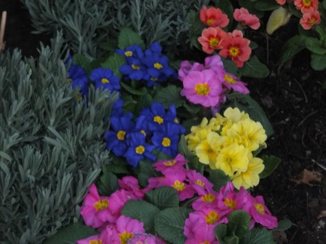 Name:  DSCF1521.jpg
Views: 653
Size:  43.9 KB