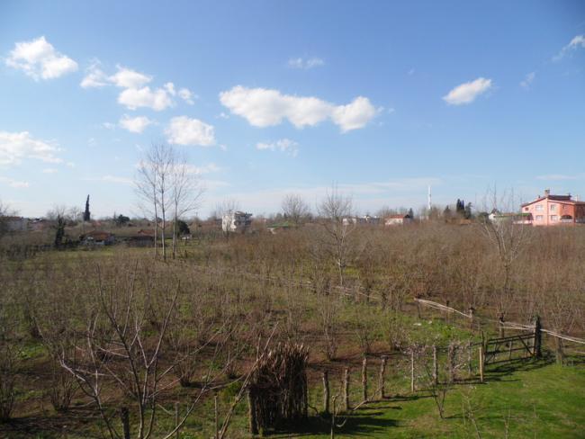 Name:  0459-384.jpg
Views: 540
Size:  43.1 KB