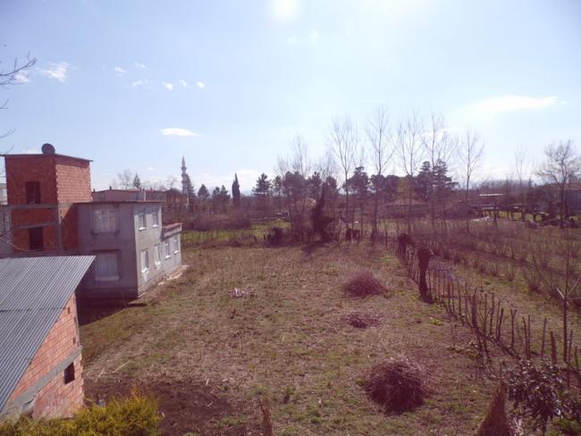 Name:  0463-388.jpg
Views: 521
Size:  45.0 KB