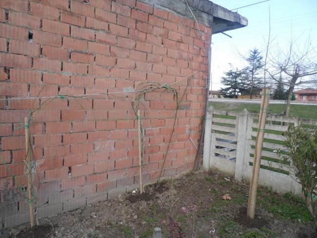 Name:  0584-502.jpg
Views: 513
Size:  53.8 KB