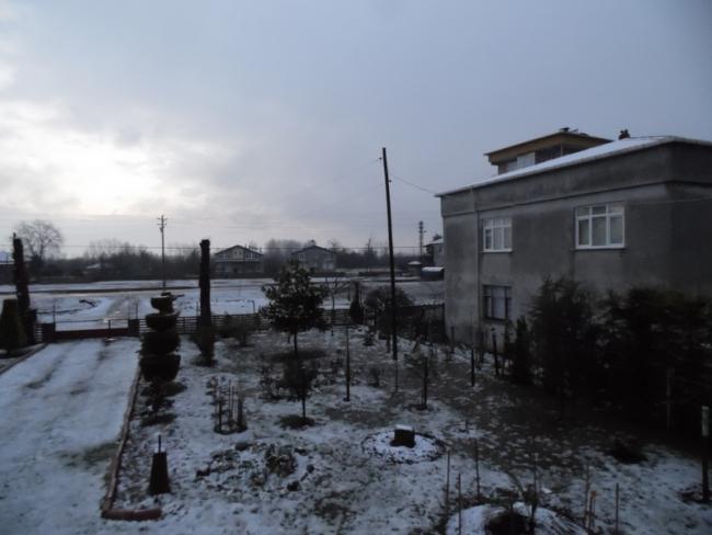 Name:  1755-1659.jpg
Views: 606
Size:  34.4 KB