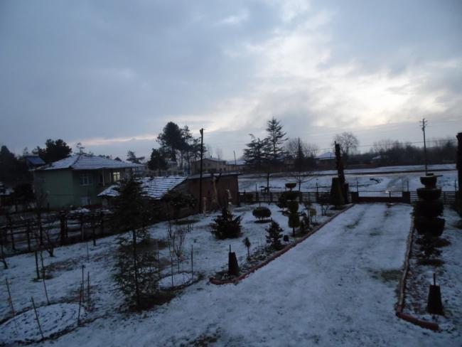 Name:  1756-1660.jpg
Views: 569
Size:  37.8 KB