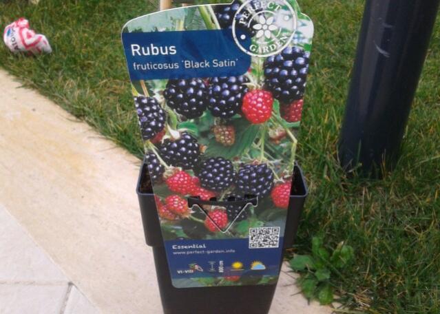 Name:  20130309_133341-1.jpg
Views: 690
Size:  49.4 KB
