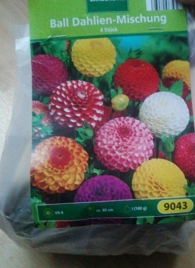 Name:  aviary_1362847990106.jpg
Views: 796
Size:  69.5 KB
