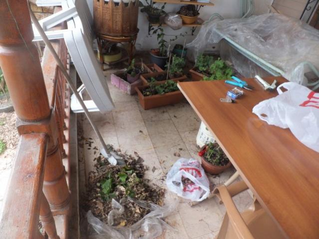 Name:  DSCF1566.jpg
Views: 372
Size:  47.7 KB