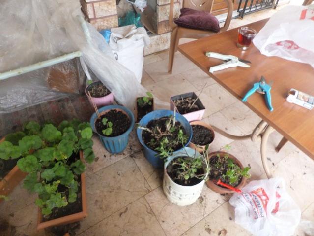 Name:  DSCF1568.jpg
Views: 405
Size:  47.5 KB