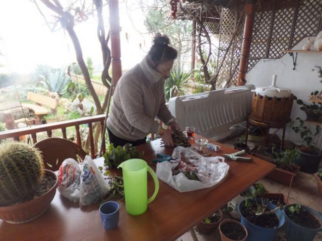 Name:  DSCF1572.jpg
Views: 372
Size:  50.4 KB
