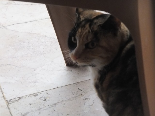 Name:  DSCF1592.jpg
Views: 350
Size:  55.8 KB