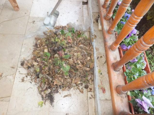 Name:  DSCF1593.jpg
Views: 396
Size:  53.5 KB