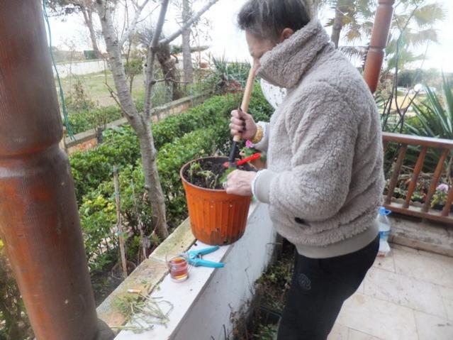 Name:  DSCF1602.jpg
Views: 374
Size:  55.2 KB