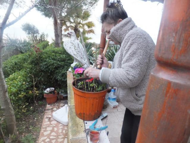Name:  DSCF1603.jpg
Views: 372
Size:  51.5 KB