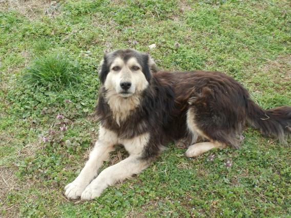 Name:  P3090048a.jpg
Views: 493
Size:  70.7 KB