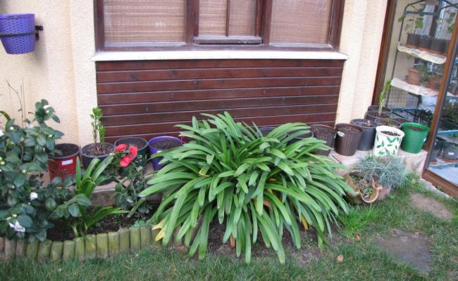 Name:  IMG_2332.jpg
Views: 480
Size:  56.0 KB