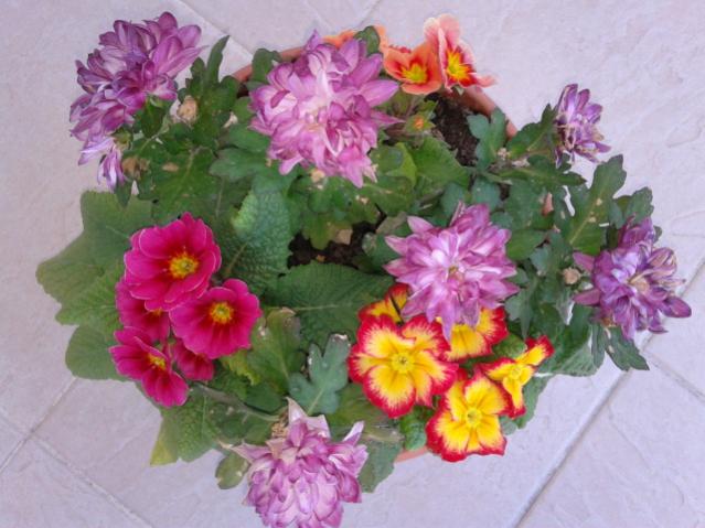 Name:  20130313_080621.jpg
Views: 586
Size:  48.1 KB