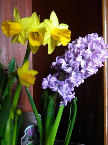 Name:  DSCN5760.jpg
Views: 1403
Size:  29.0 KB