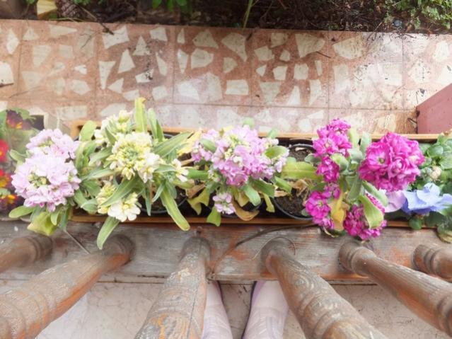 Name:  DSCF1621.jpg
Views: 296
Size:  56.5 KB