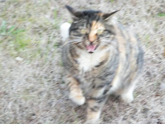 Name:  DSCF1667.jpg
Views: 518
Size:  41.3 KB