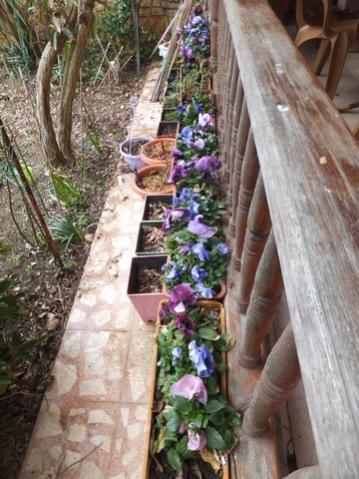 Name:  DSCF1689.jpg
Views: 466
Size:  40.5 KB