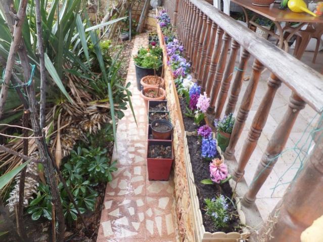 Name:  DSCF1725.jpg
Views: 482
Size:  68.3 KB