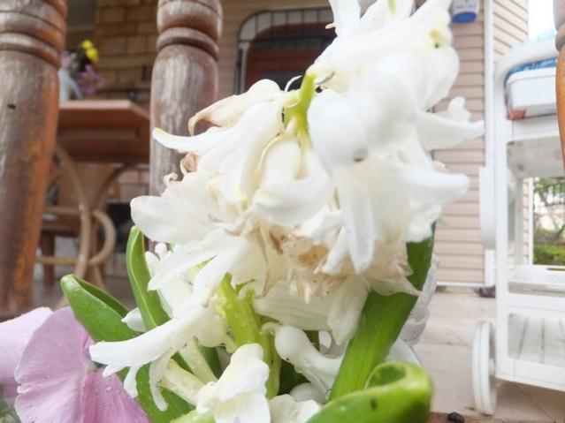 Name:  DSCF1730.jpg
Views: 493
Size:  36.3 KB